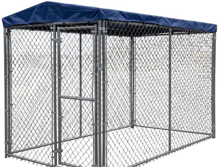 Backyard Dog Kennels Backyard Pet Supplies