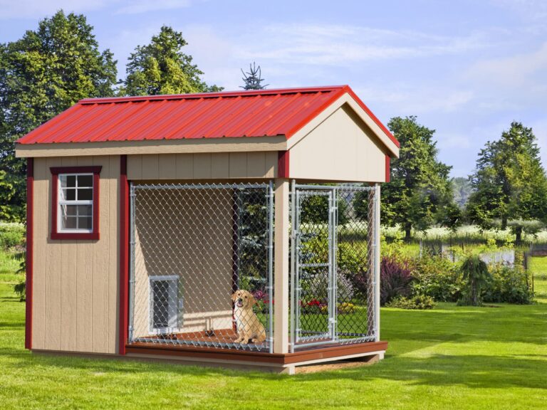 Backyard Dog Kennels Backyard Pet Supplies