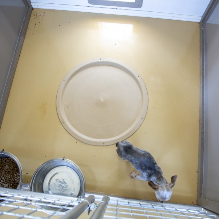 Accu Temp Whelping Nest | Dog Whelping Products