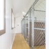 Chainlink Kennel Fencing Panels
