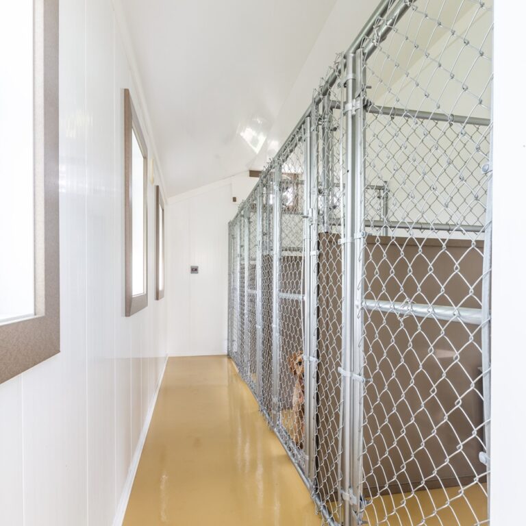 Chainlink Kennel Fencing Panels