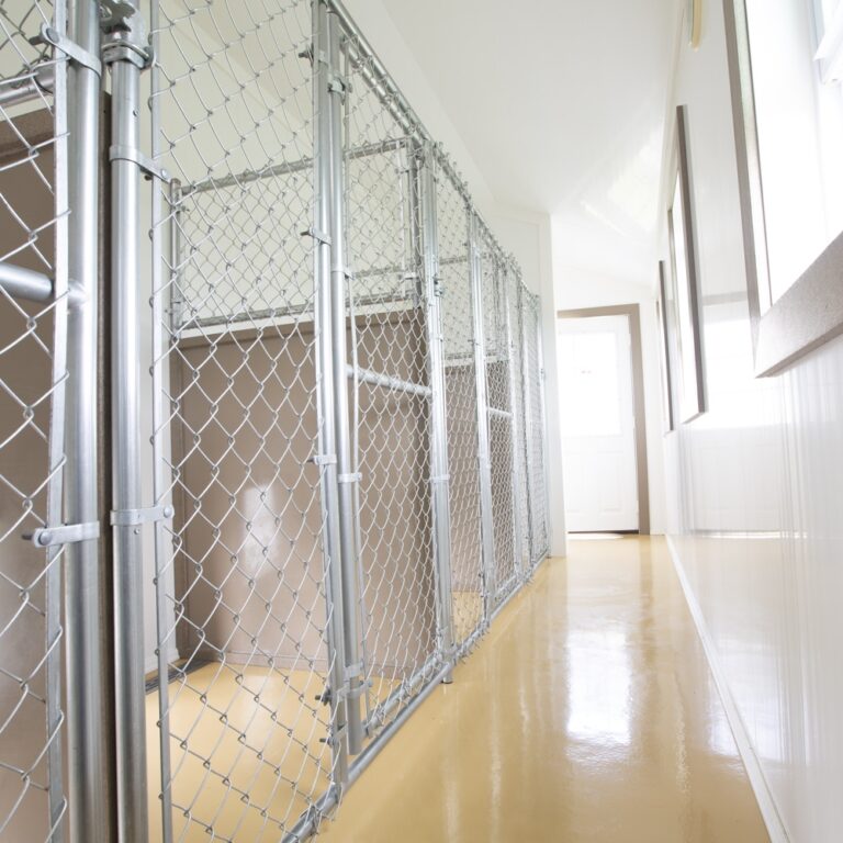 Chainlink Kennel Fencing Panels