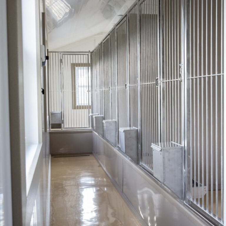 Stainless Steel Kennel Panels