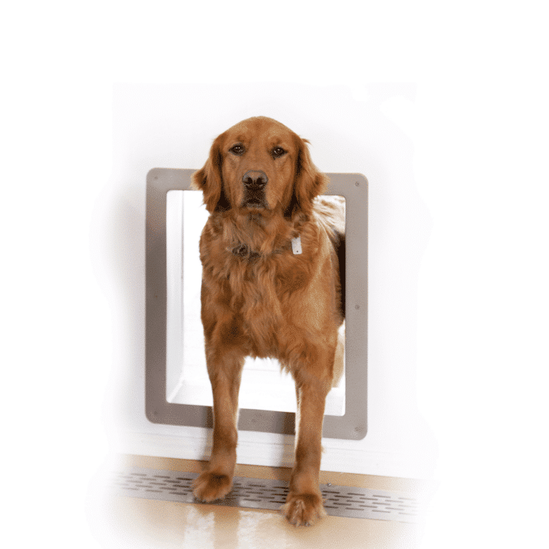 Plastic Molded Dog Hole Trim
