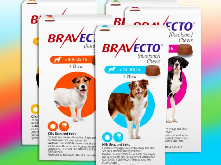 bravecto flea & tick
