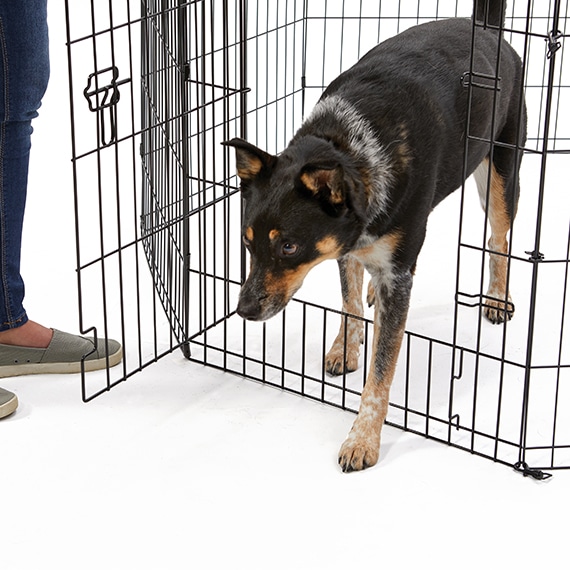 Contour Exercise Pen w/Door