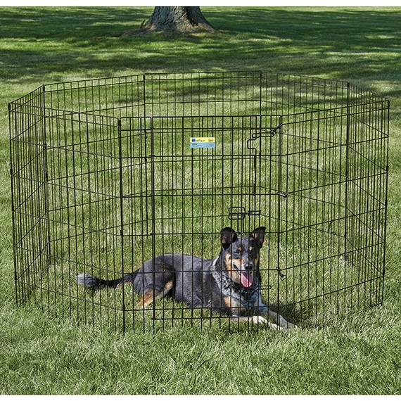 Contour Exercise Pen w/Door