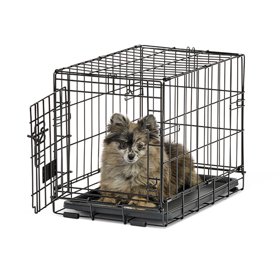 Contour® Single Door Dog Crate