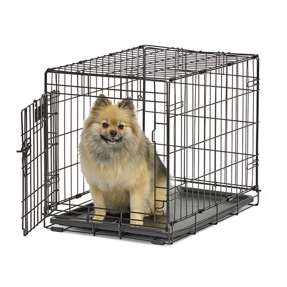 Contour® Single Door Dog Crate