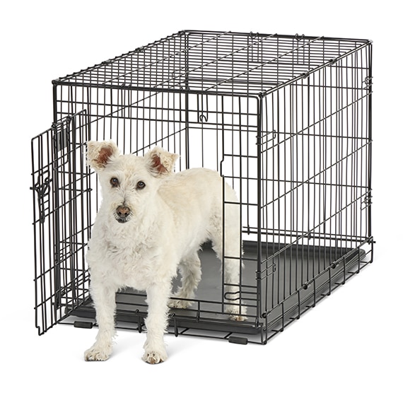 Contour® Single Door Dog Crate