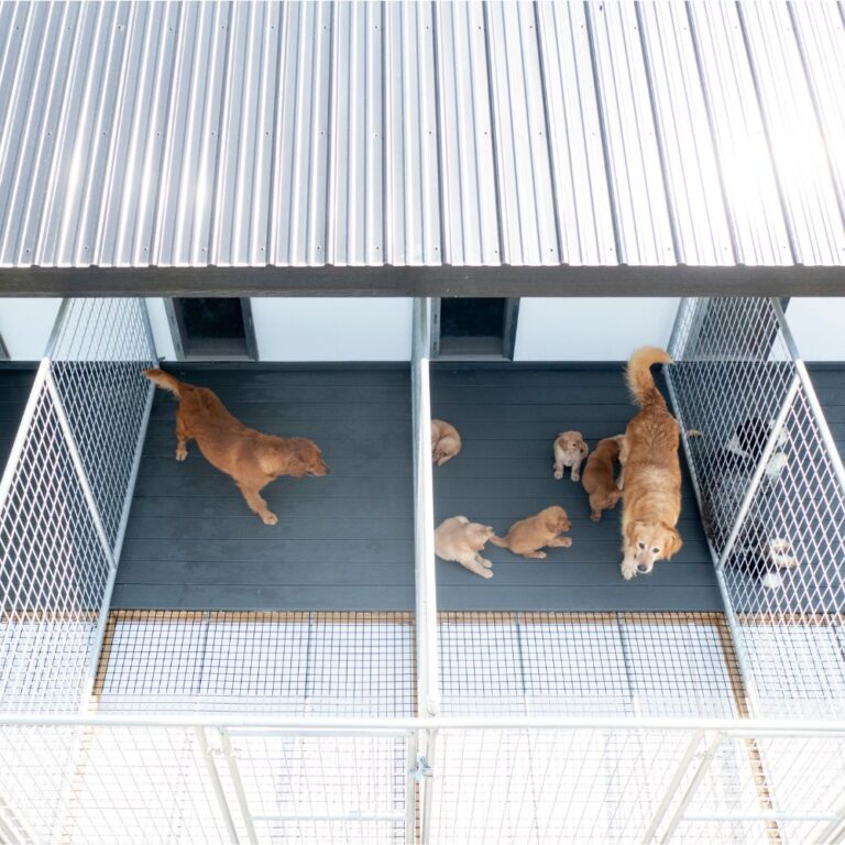Dog Kennel Flooring