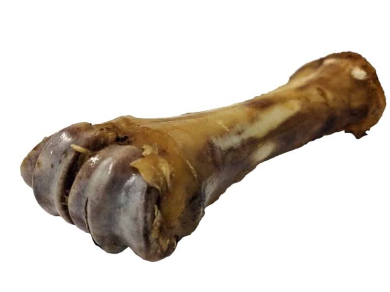 Fieldcrest Farms Foreshank Bone