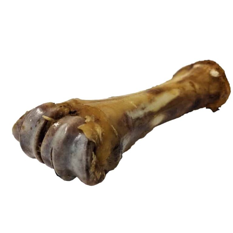 Fieldcrest Farms Foreshank Bone