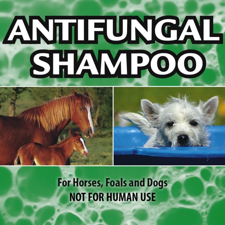 First Companion Anti-Fungal Shampoo - For Horses & Dogs