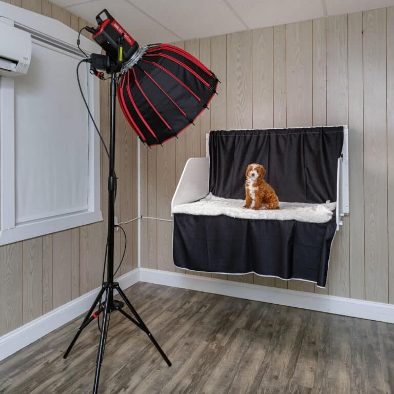 k9 photo center