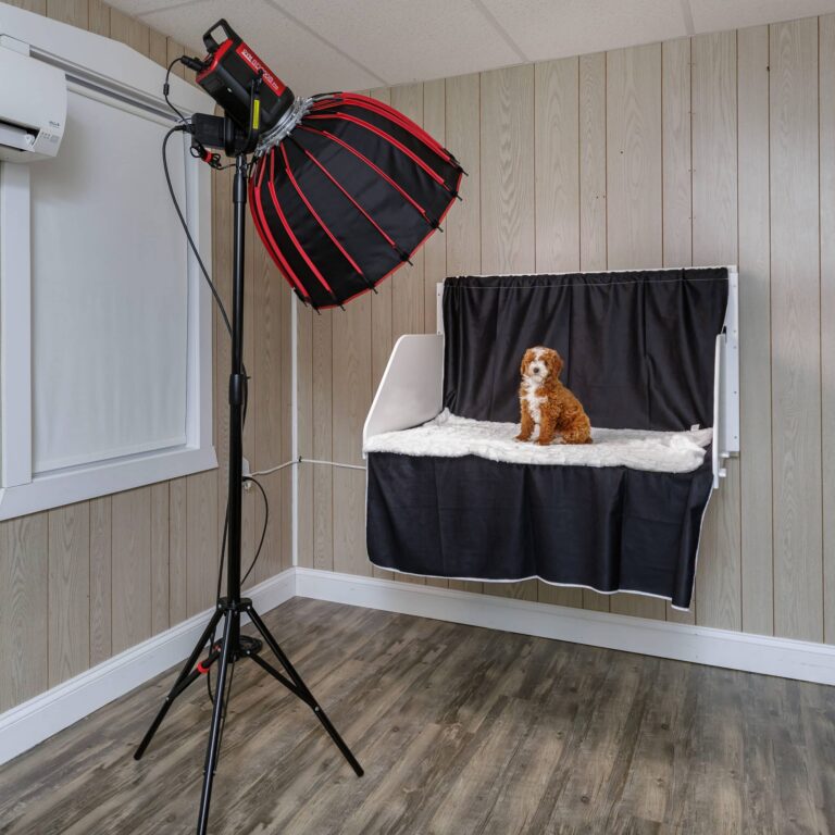 k9 photo center