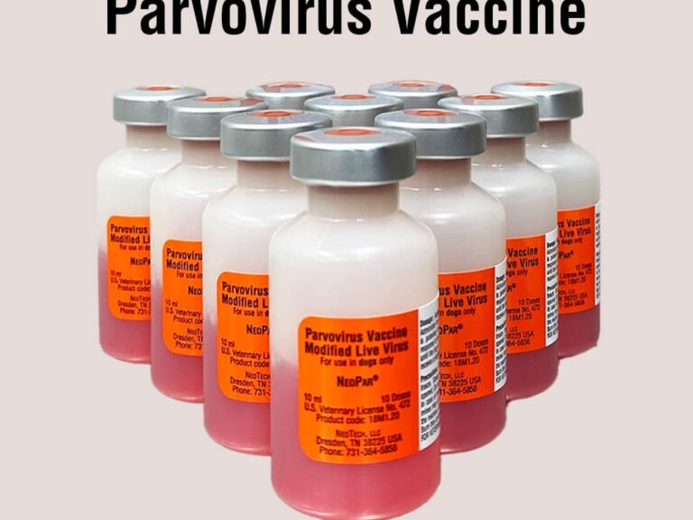 Neopar Canine Parvovirus Vaccine