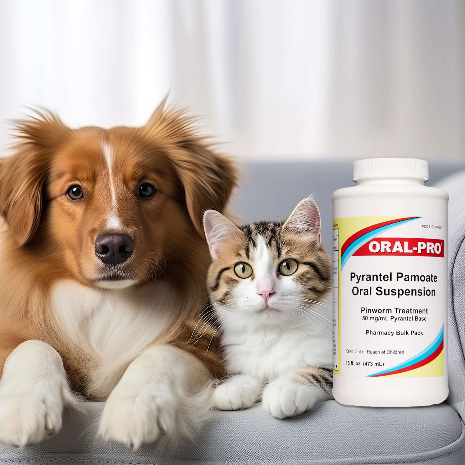 Pyrantel Dewormer | Keep Your Pets Healthy And Happy