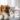 Pyrantel Dewormer