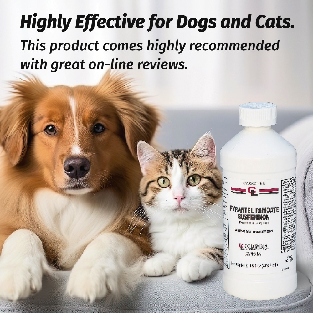Pyrantel Dewormer | Keep Your Pets Healthy And Happy