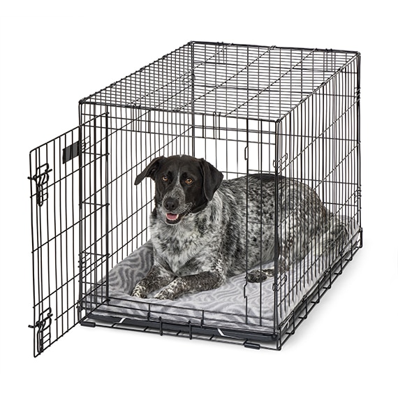 Quiet Time Deluxe Wave Bed