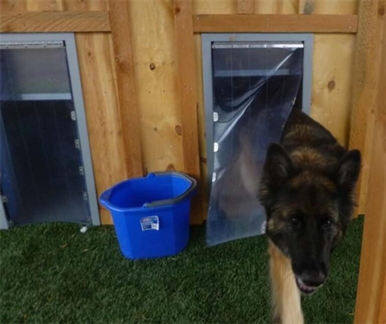 3-Sided Exterior Professional Kennel Door (Copy)