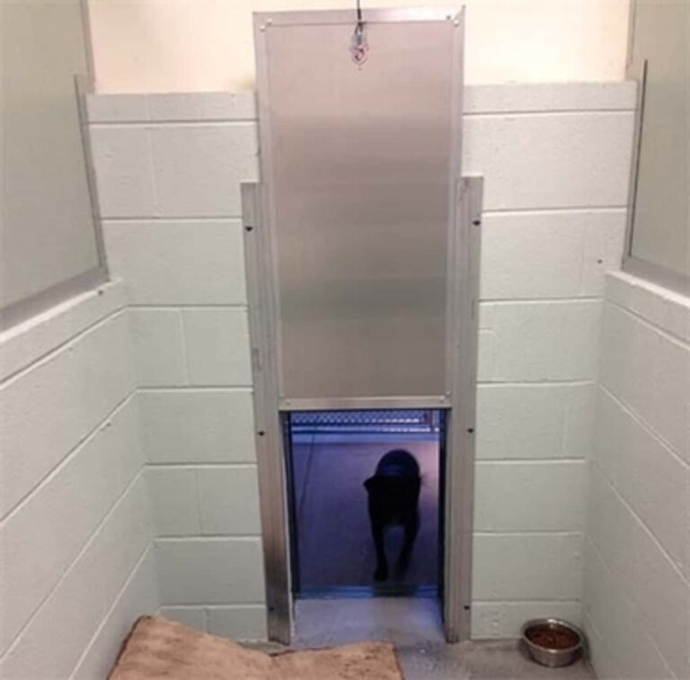Kennel Clad™ Insulated Guillotine Door