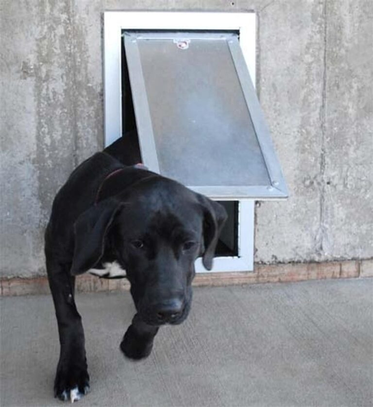 Kennel Clad Swing Door