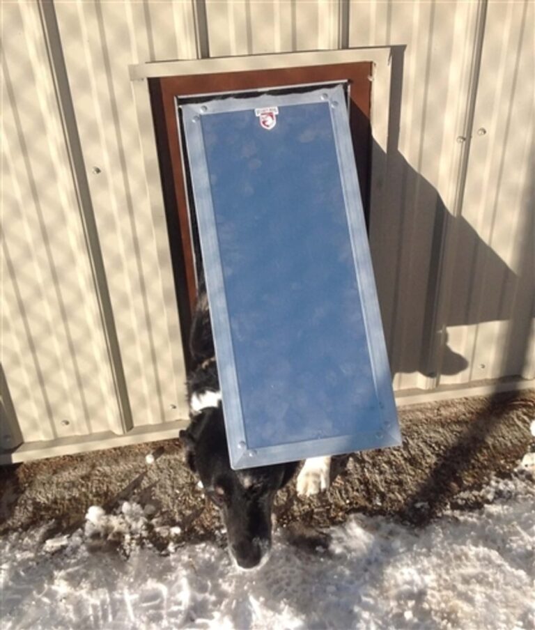 Kennel Clad Swing Door