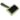 Coastal Pet Safari Massage Brush