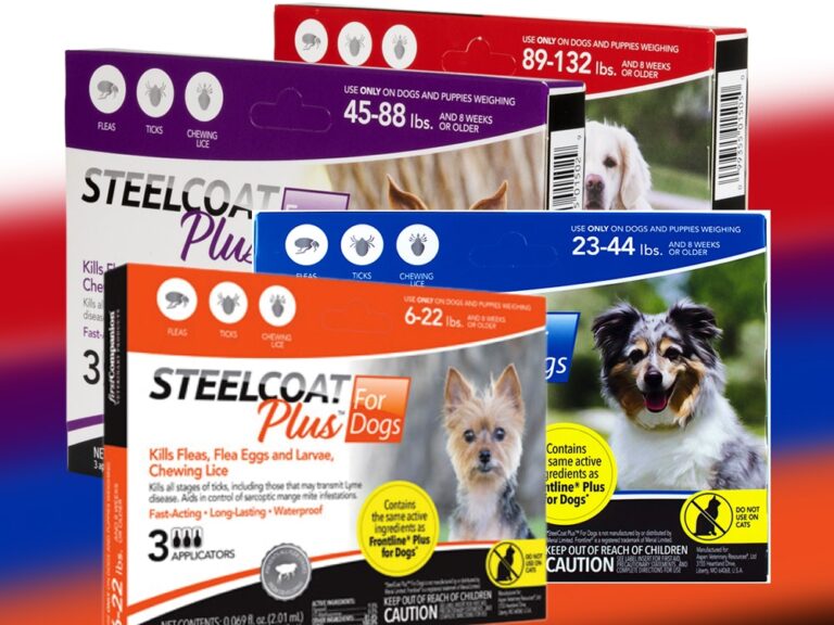 Steelcoat plus