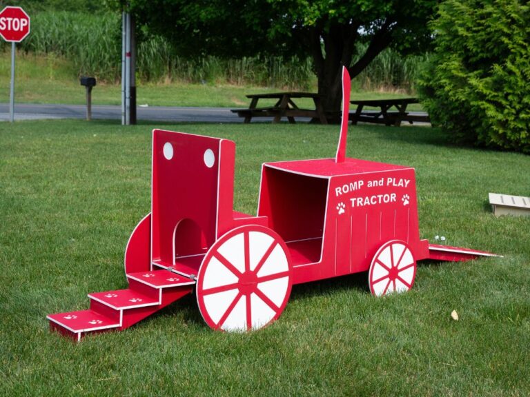 Best yard toys for dogs outlet