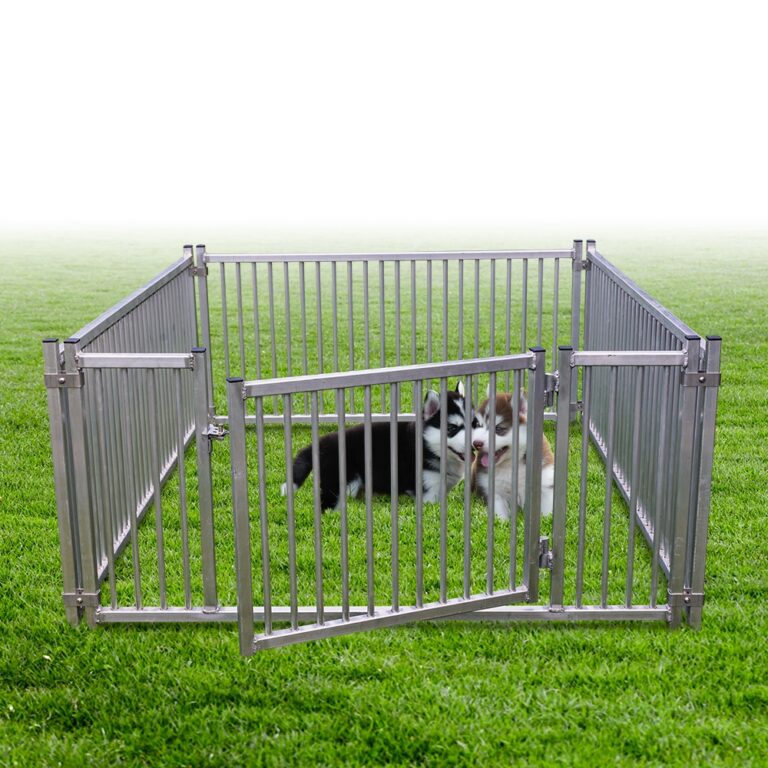 happy pup exercise yard