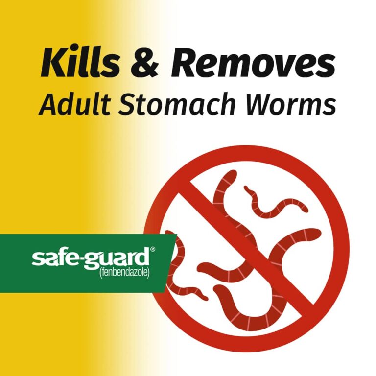 Safe-Guard Deworming
