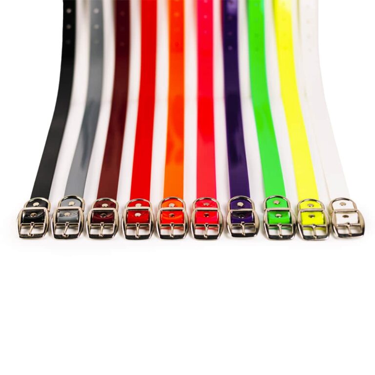 1"  Standard Biothane Collar